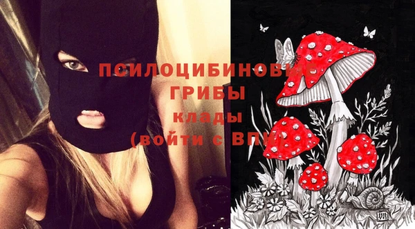 спиды Белокуриха